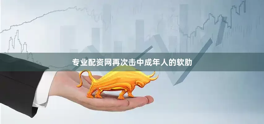 专业配资网再次击中成年人的软肋