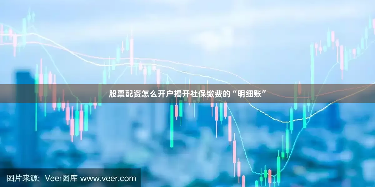 股票配资怎么开户揭开社保缴费的“明细账”